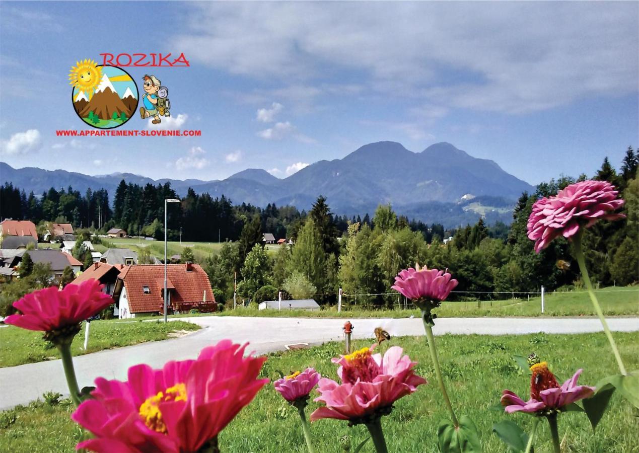 Apartment Rozika Slovenj Gradec Luaran gambar