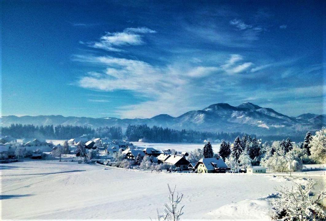 Apartment Rozika Slovenj Gradec Luaran gambar