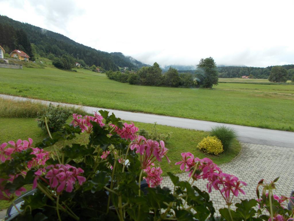Apartment Rozika Slovenj Gradec Luaran gambar