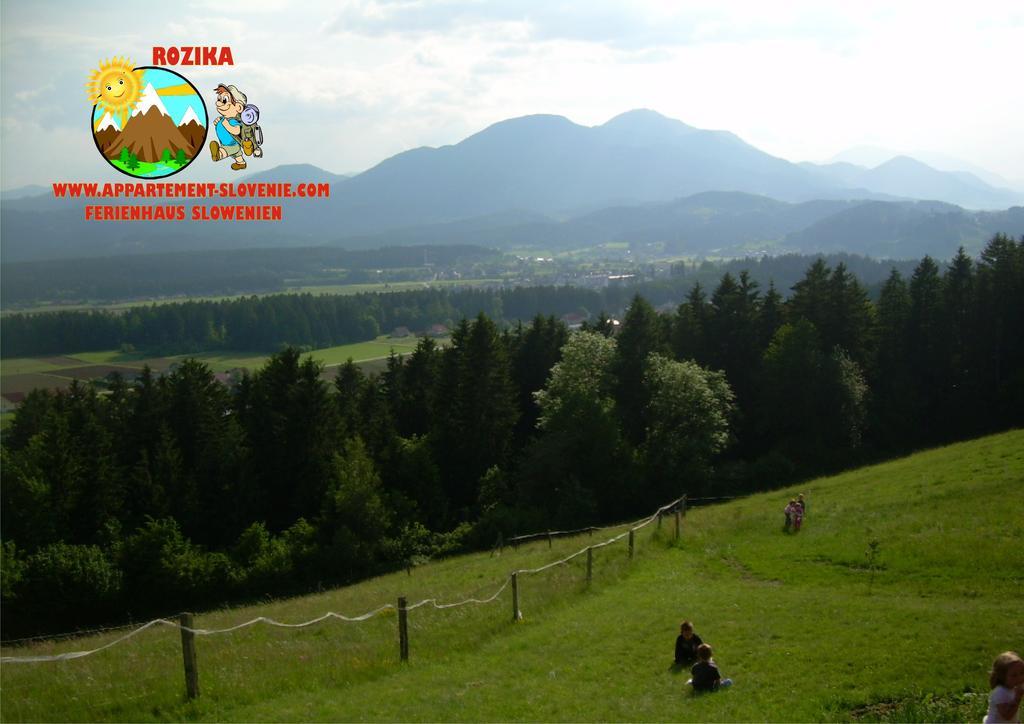 Apartment Rozika Slovenj Gradec Luaran gambar